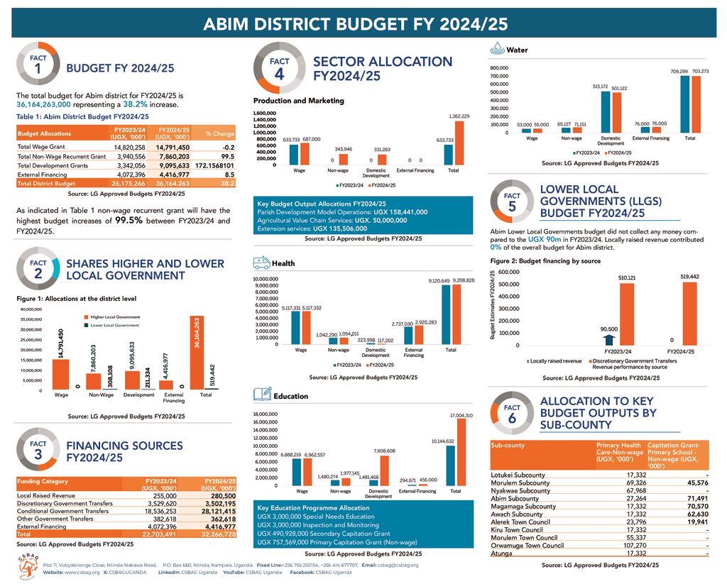 thumbnail of ABIM BUDGET POSTER_landscape