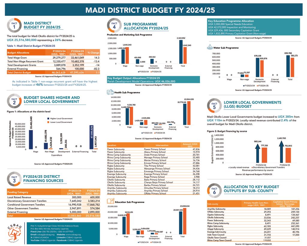 thumbnail of MADI BUDGET POSTER_LANDSCAPE