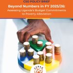 thumbnail of CSO POLICY BRIEF