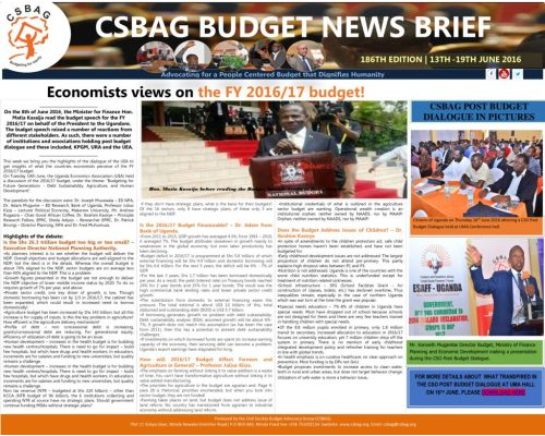 thumbnail of CSBAG BUDGET NEWS.186th