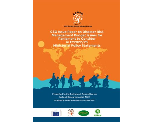 thumbnail of CSO Paper on DRM