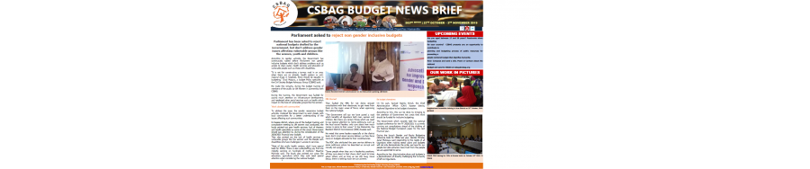 Parliament asked to reject non gender inclusive budgets