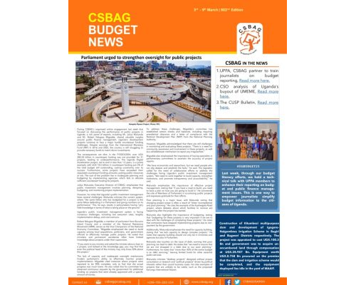 thumbnail of CSBAG BUDGET NEWS. 802 Edition