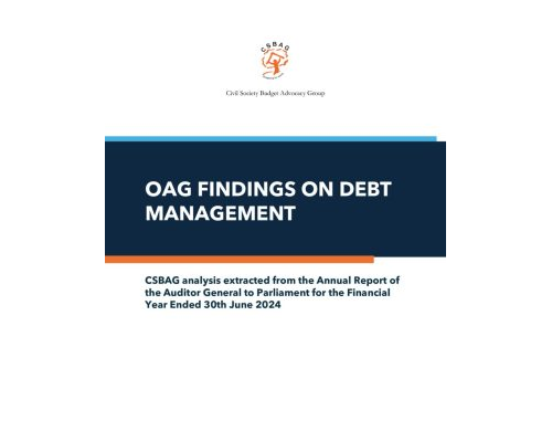 thumbnail of Debt Management