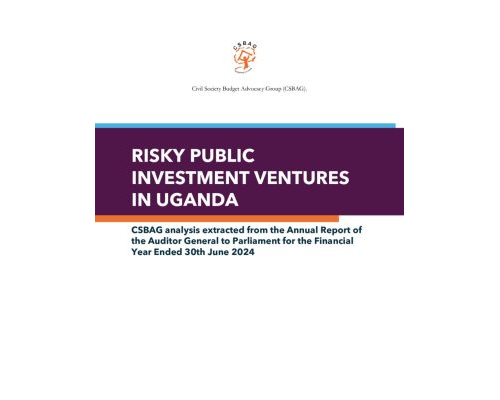 thumbnail of RISKY AND LOSS MAKING ENTERPRISES -FINAL PAPER