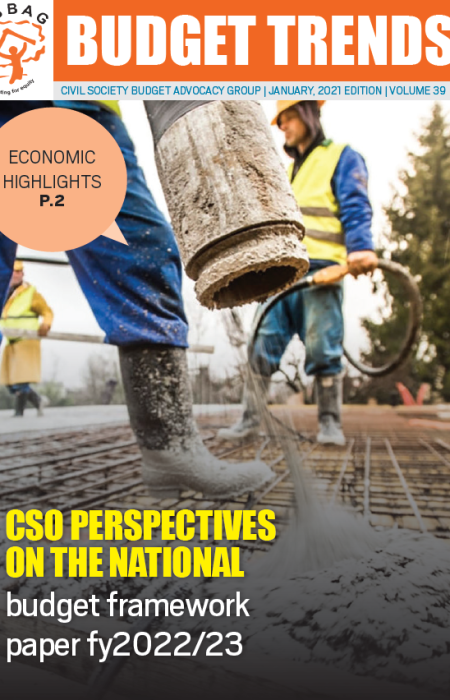 Budget Trends Magazine, January  2022 Image