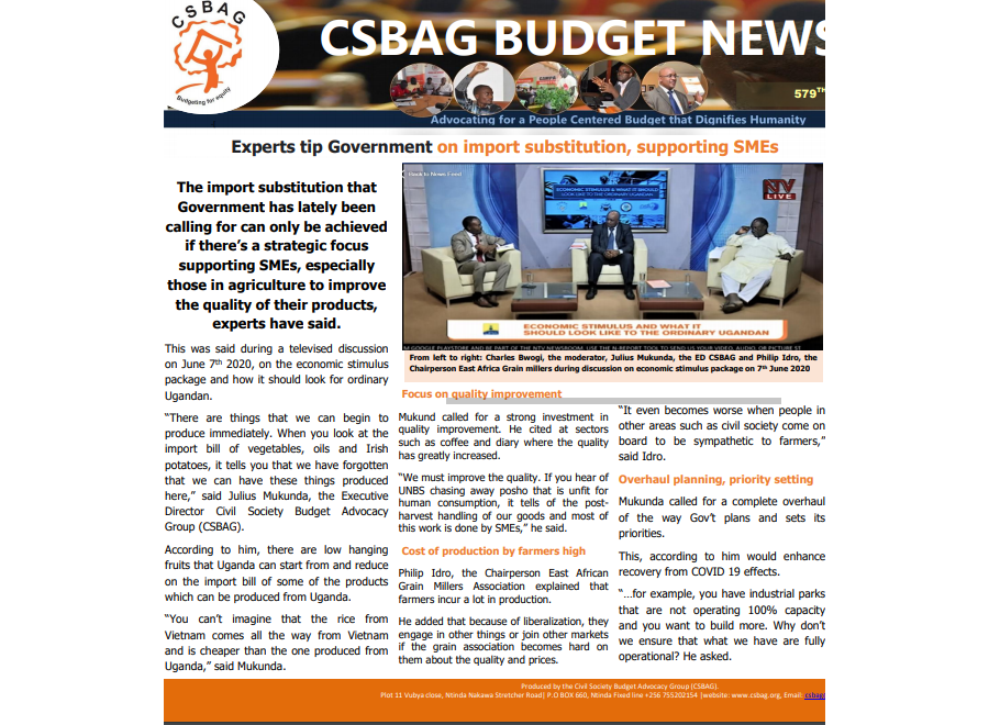 Experts tip Government on import substitution, supporting SMEs