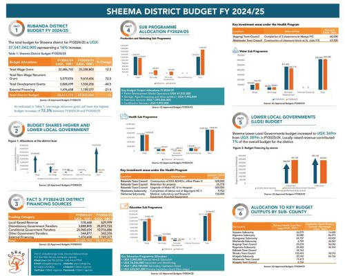 thumbnail of SHEEMA DISTRICT BUDGET POSTER_LANDSCAPE