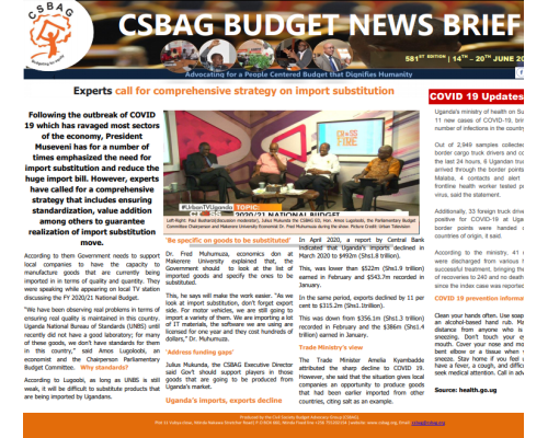 Experts Call For Comprehensive Strategy On Import Substitution