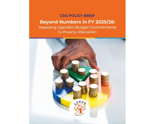 thumbnail of CSO POLICY BRIEF