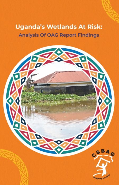 Uganda’s Wetlands At Risk Image
