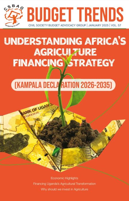 CSBAG Budget Trends Magazine: Understanding Africa's Agriculture Financing Strategy Image