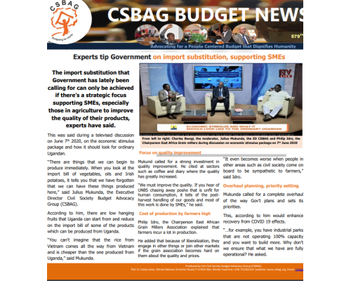 Experts tip Government on import substitution, supporting SMEs