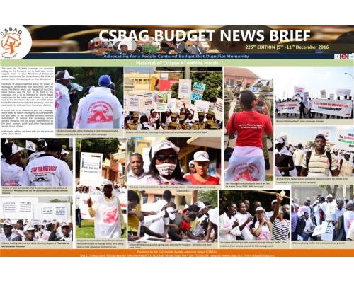 thumbnail of CSBAG BUDGET NEWS 225th Edition