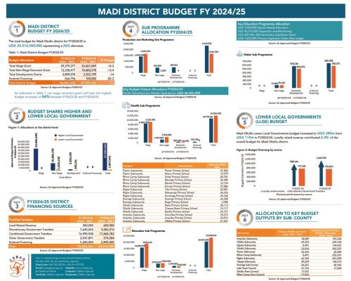thumbnail of MADI BUDGET POSTER_LANDSCAPE