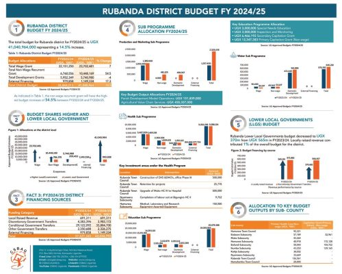 thumbnail of RUBANDA DISTRICT BUDGET POSTER_LANDSCAPE