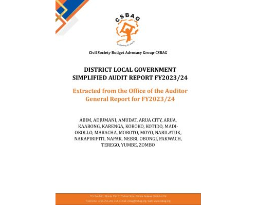 DISTRICT LOCAL GOVERNMENT  SIMPLIFIED AUDIT REPORT FY2023/24