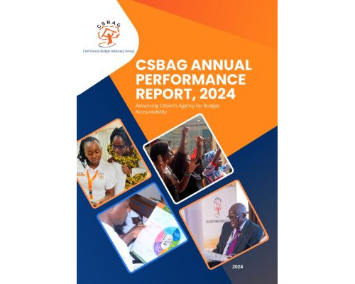 thumbnail of CSBAG 2024 Annual Report