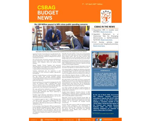 thumbnail of CSBAG BUDGET NEWS. 807 Edition