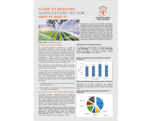 Guide To Debating The Agriculture Sector NBFPFY2020/21