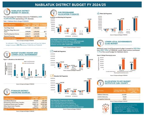 thumbnail of NABILATUK BUDGET POSTER_LANDSCAPE