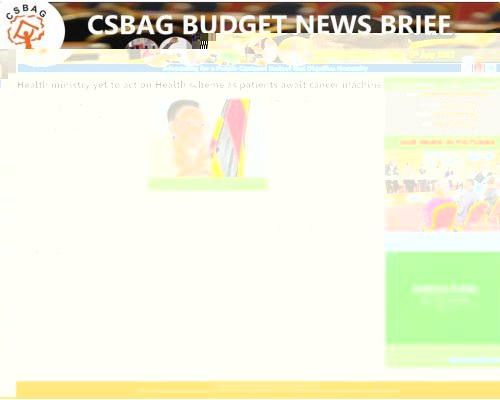 thumbnail of CSBAG BUDGET NEWS 273rd Edition