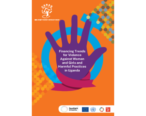 Financing Trends for Violence Against Women and Girls and Harmful Practices in Uganda